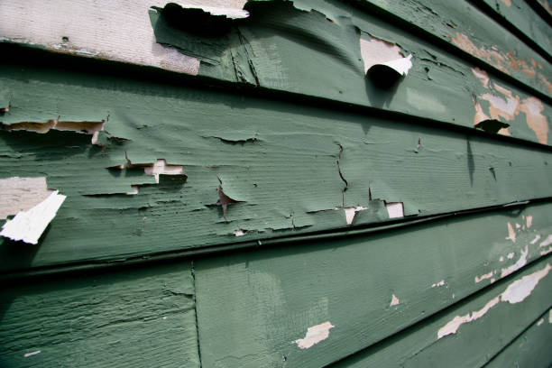Best Wood Siding Installation  in Auburn, MI