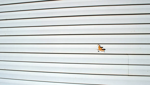 Best Fascia and Soffit Installation  in Auburn, MI